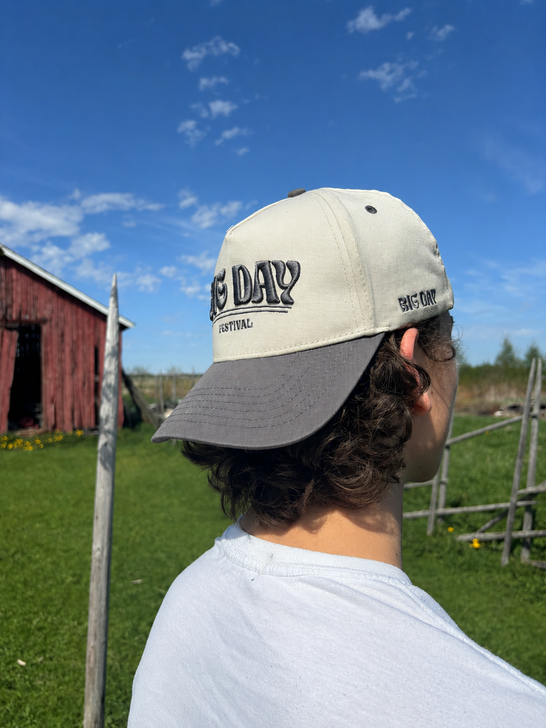 Big Day Baseball Cap - Grey