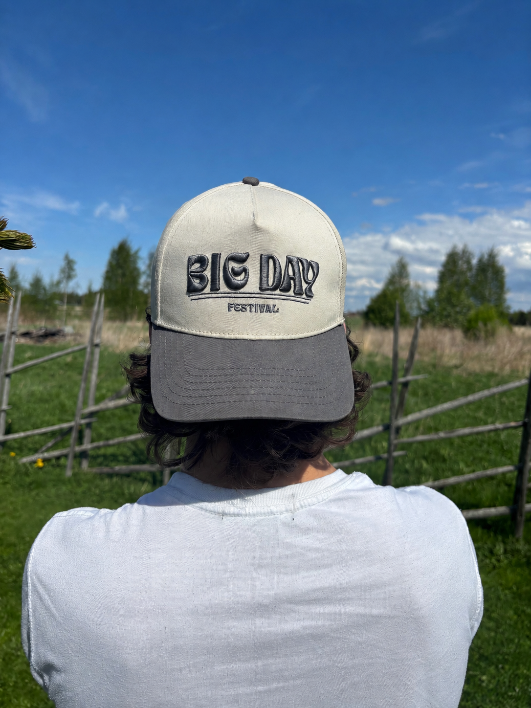 Big Day Baseball Cap - Grey