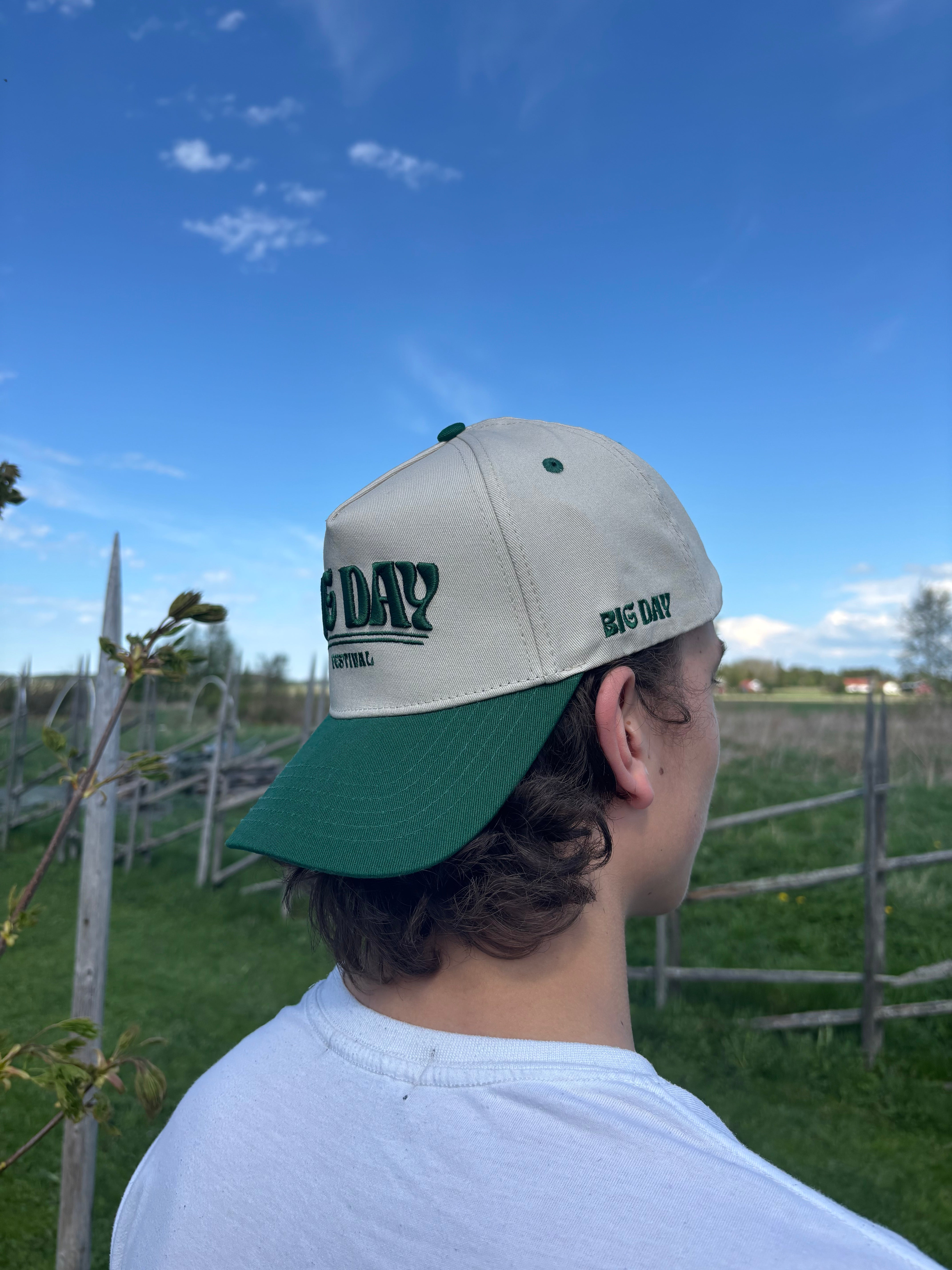 Big Day Baseball Cap - Green